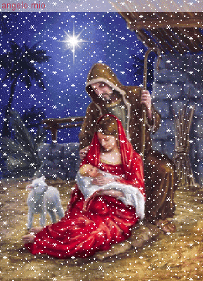 image.gif