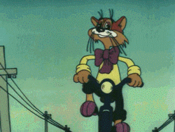 image.gif
