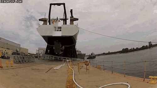 image.gif