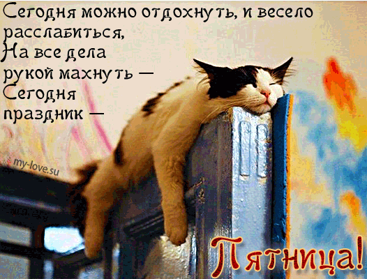 image.gif