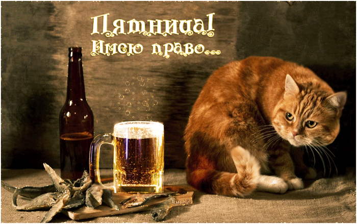 image.gif