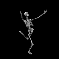 image.gif