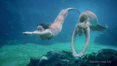 image.gif