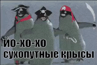 image.gif