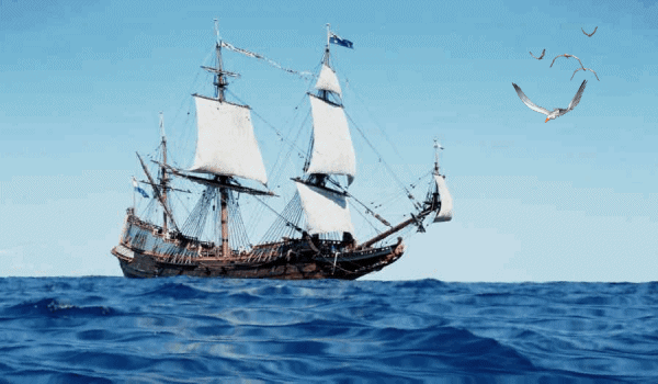 image.gif