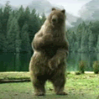 image.gif