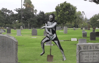 image.gif