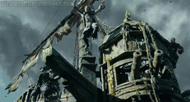 image.gif