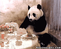 image.gif