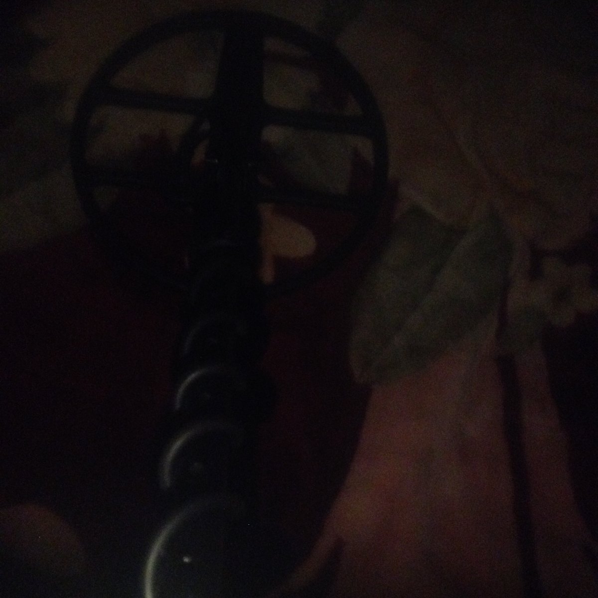 image.jpeg