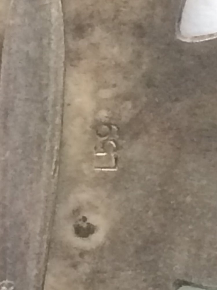 image.jpeg