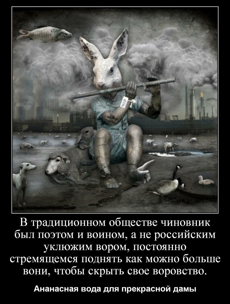 image.jpeg