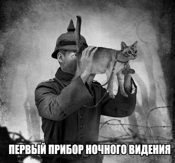 image.jpeg