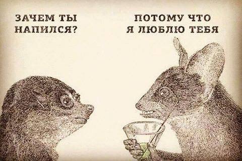 image.jpeg