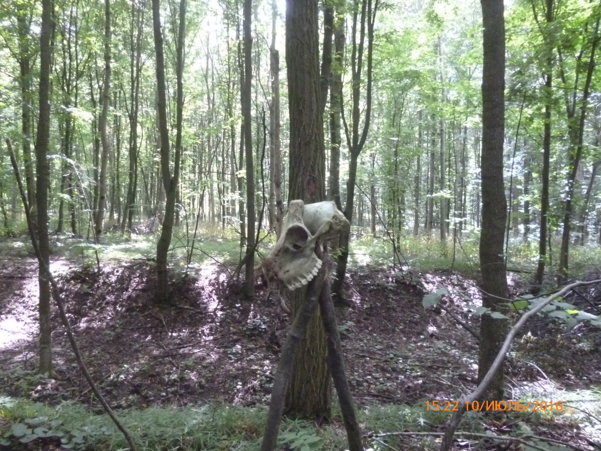 image.jpeg
