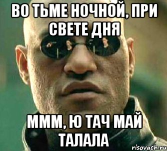 image.jpeg