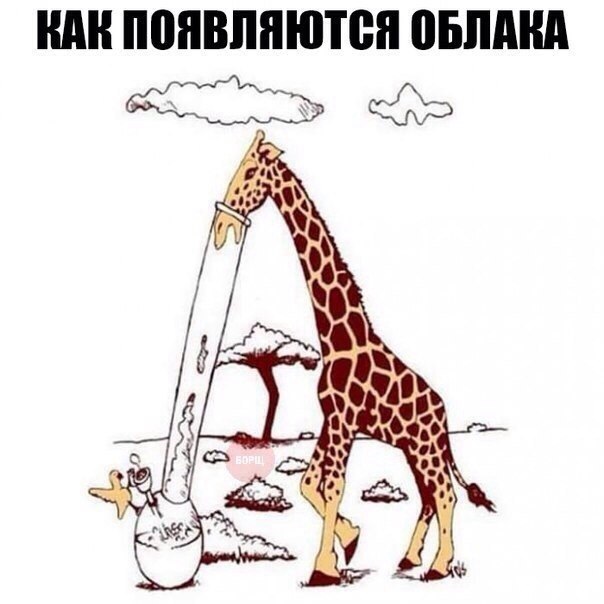 image.jpeg