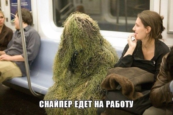 image.jpeg