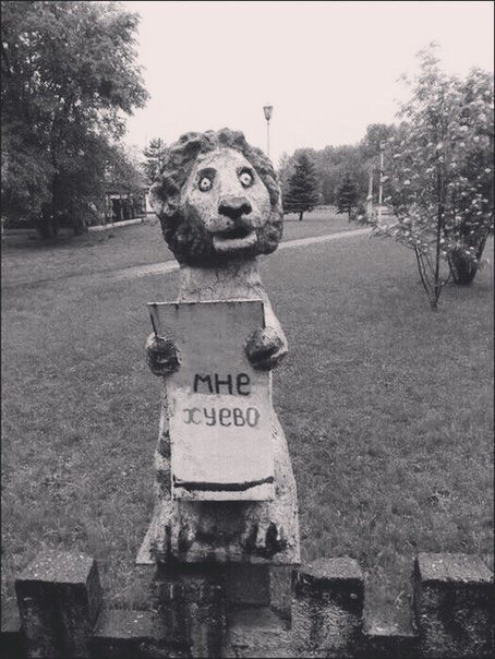 image.jpeg
