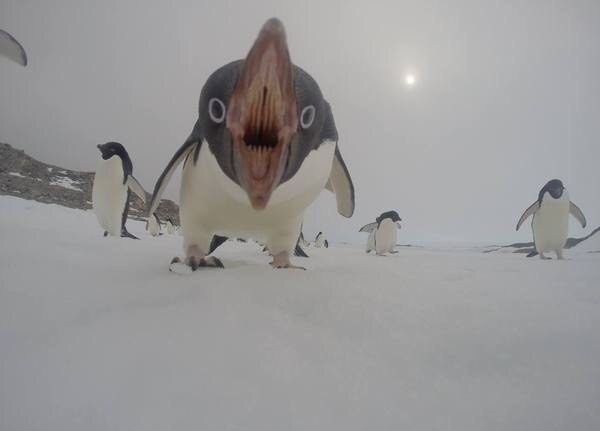 image.jpeg