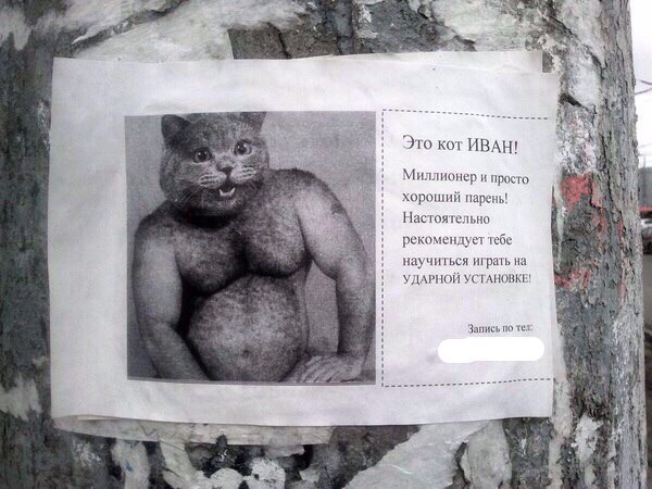 image.jpeg