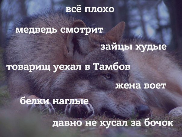 image.jpeg