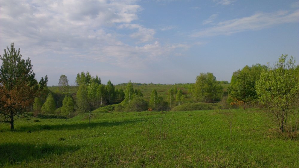 image.jpg