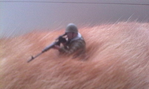 image.jpg