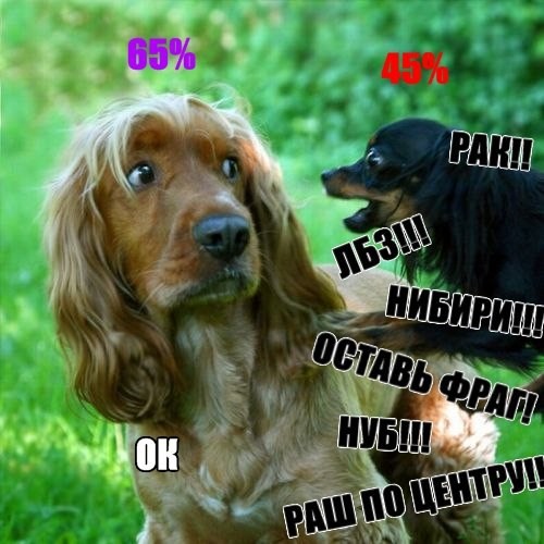 image.jpg