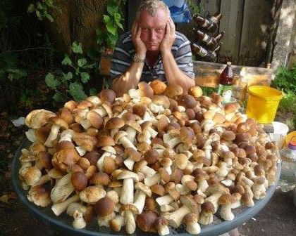 image.jpg