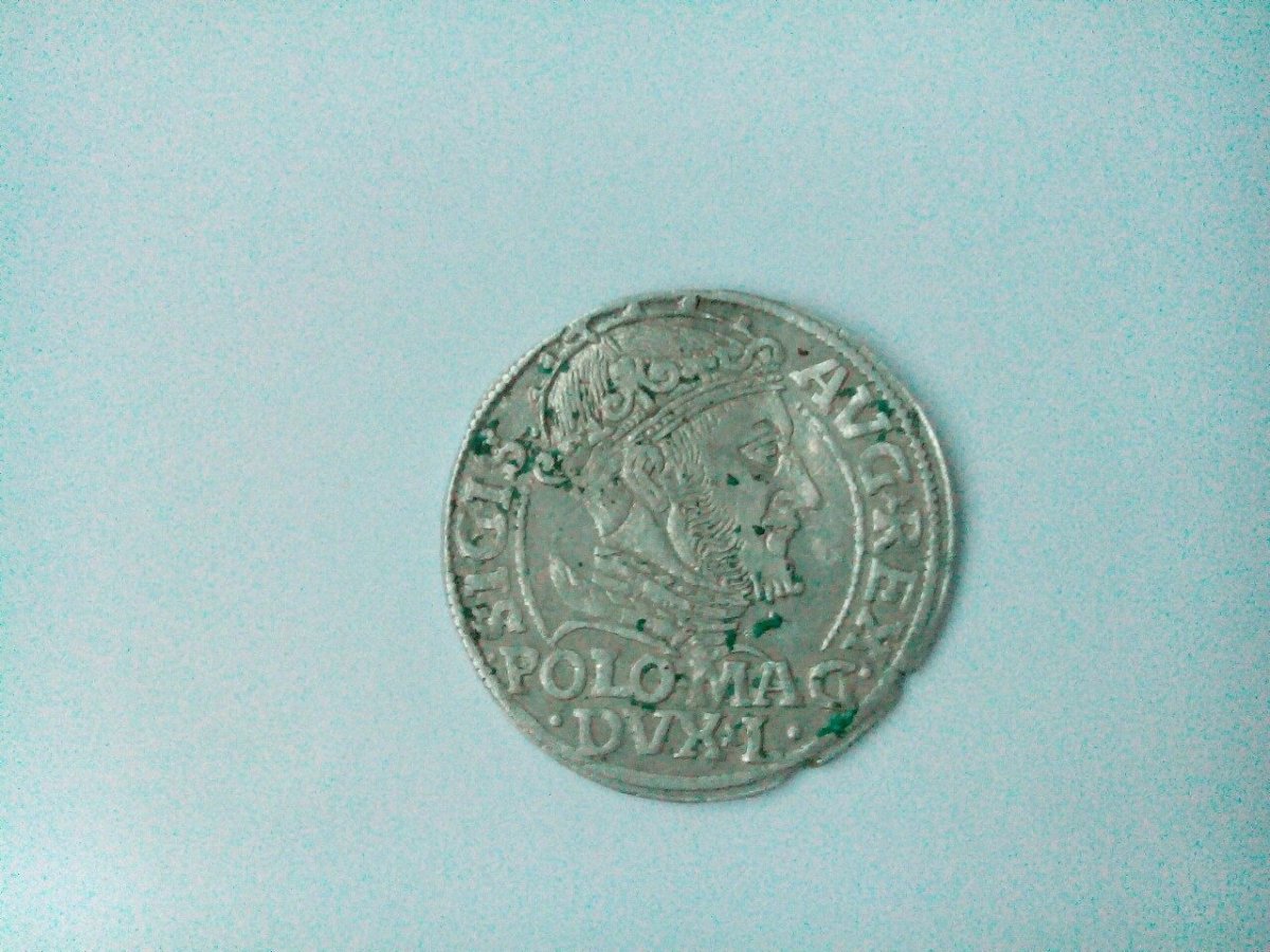 image1.jpg