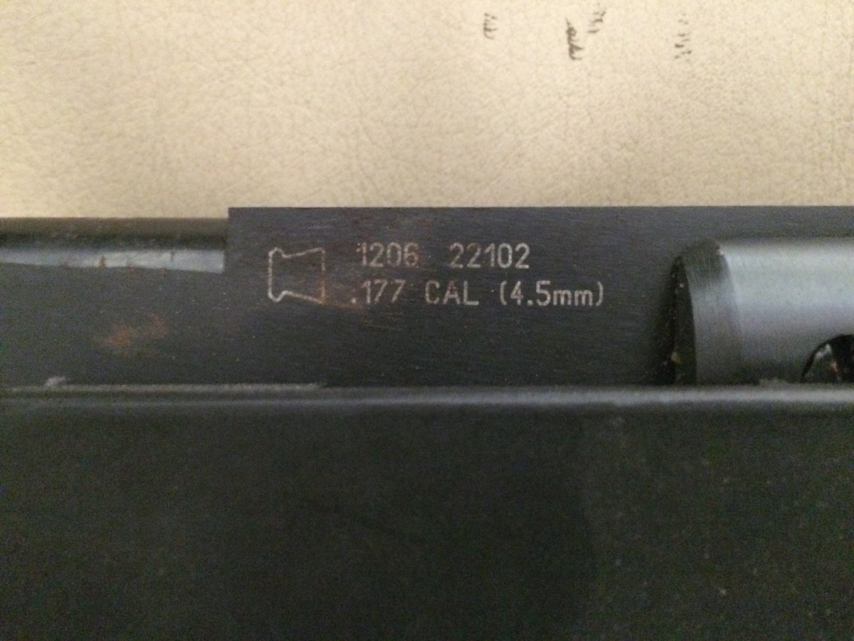 image2.JPG