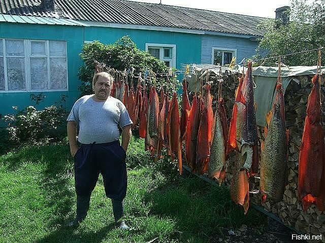 image43DOXLS9.jpg