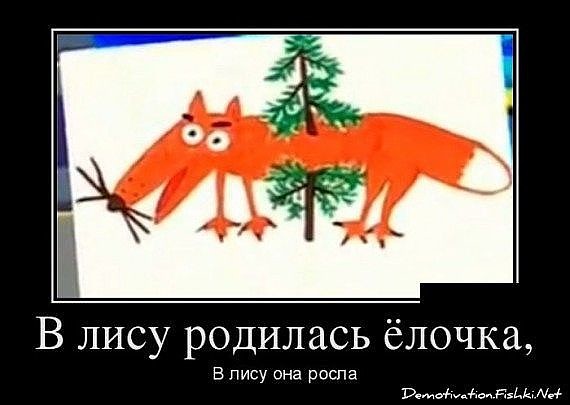 image7SIYLW3Q.jpg