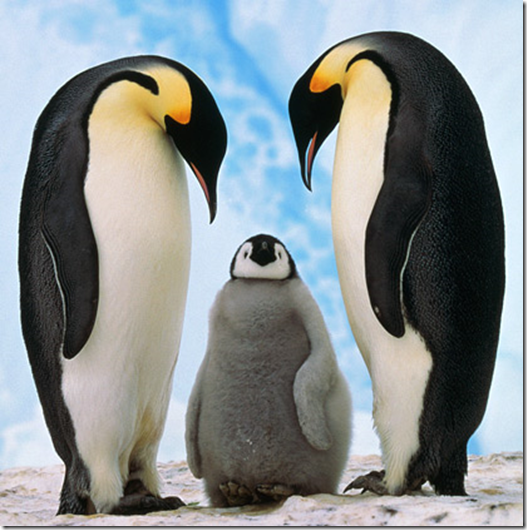 image_33-0.png