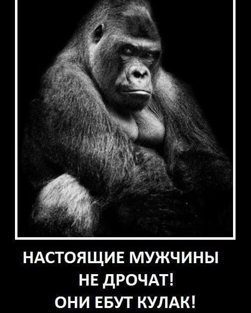 imagea0a8ae6ed5a32b99ce4a3eb12830b1e4-V.jpg
