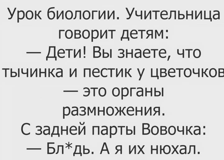 imagea2d54efbac53826f44dc49c9ff938191-V.jpg