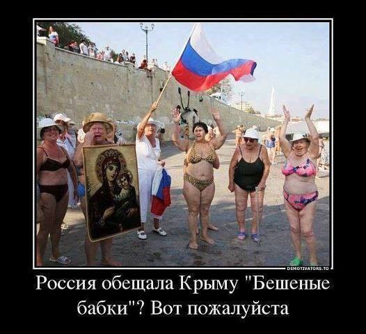 imageBREJ03QA.jpg
