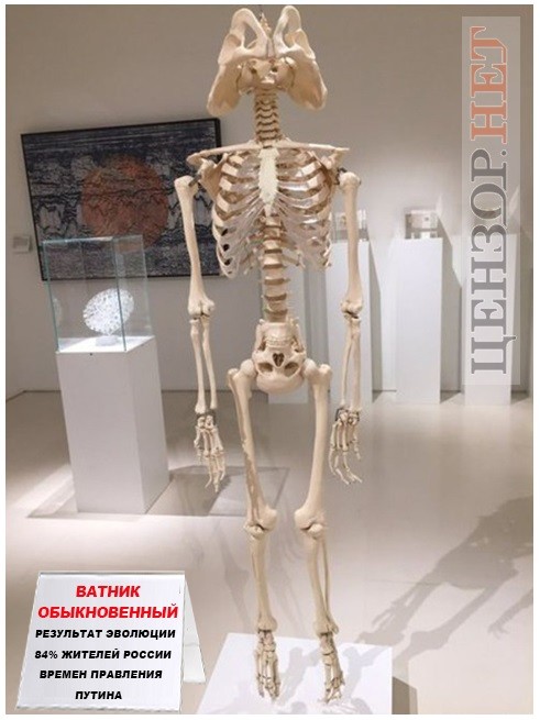 imageDQH6WQ9N.jpg