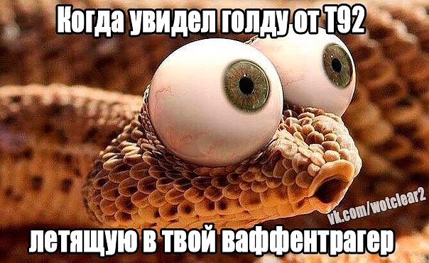 imageEPMAVM3P.jpg