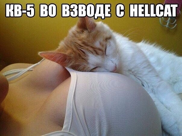 imageH4UIQZ07.jpg