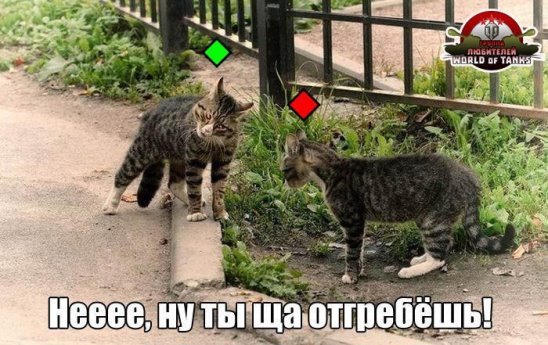 imageHHNENRQ2.jpg