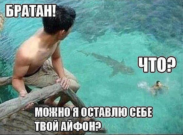 imageOIP.jpg