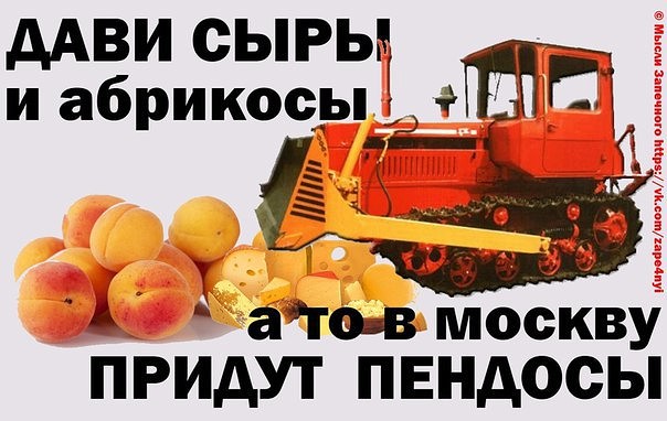 imageQWDLQ6YC.jpg