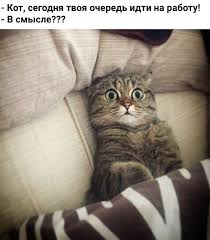 images (1).jpeg