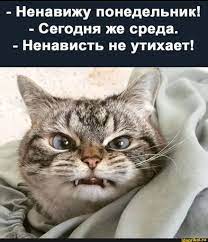 images (1).jpg
