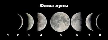 images (10).jpeg