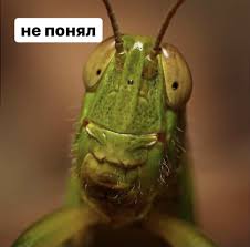 images (12).jpeg