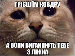 images (12).jpg