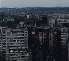 images (16).jpeg